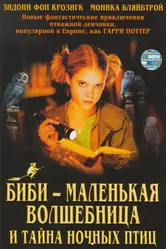 Постер Биби – маленькая волшебница и тайна ночных птиц