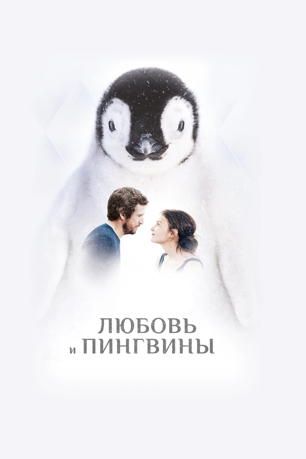 Любовь и пингвины 2016 постер