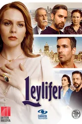 Постер Leylifer
