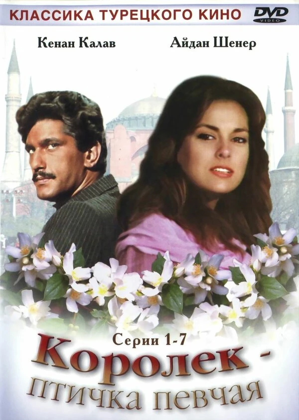 Королёк – птичка певчая 1986 постер
