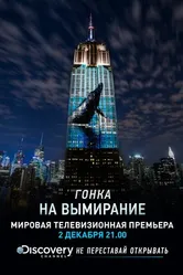 Постер Гонка на вымирание 2015
