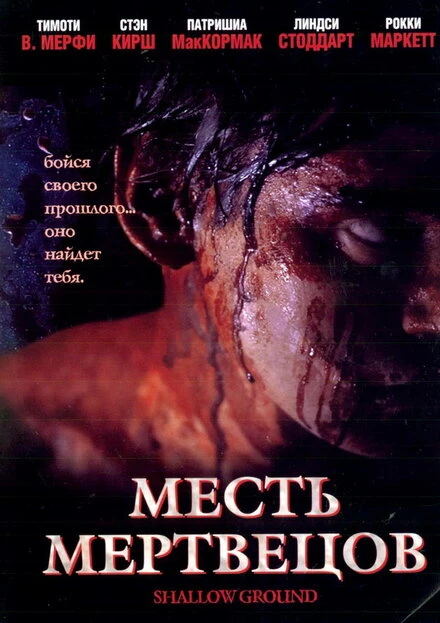 Месть мертвецов 2004 постер