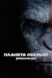 Постер Планета обезьян: Революция