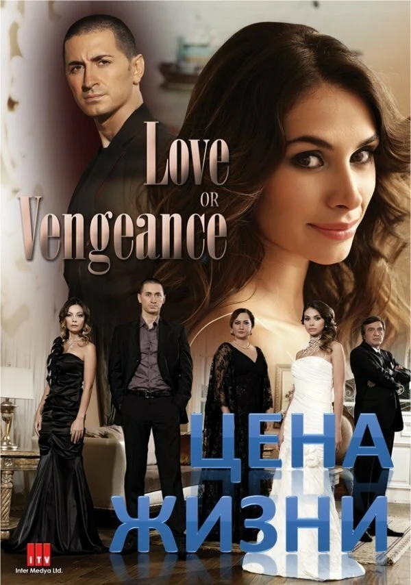 Цена жизни 2009 постер