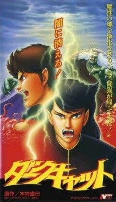 Черный кот 1991 постер