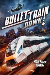 Постер Bullet Train Down