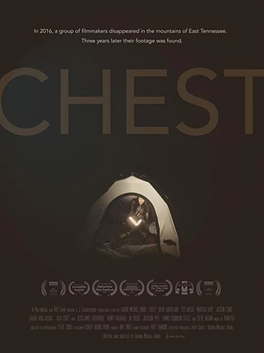 Chest постер