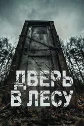 Постер Дверь в лесу 2019