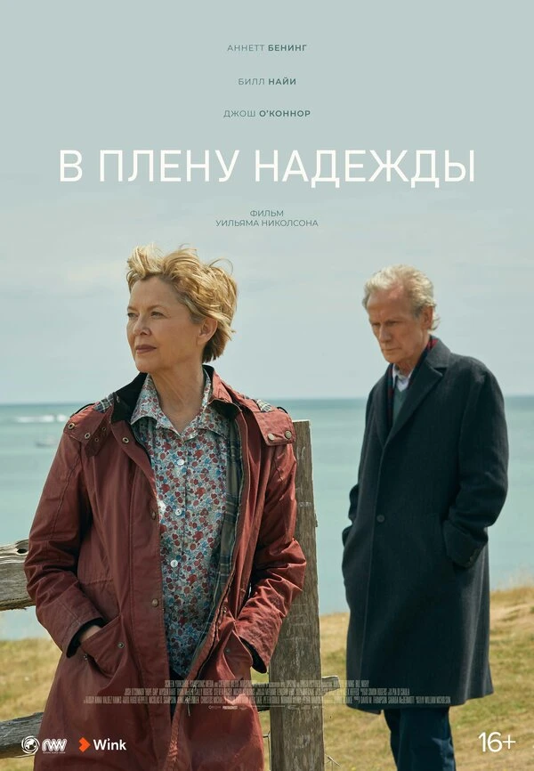 В плену надежды 2019 постер