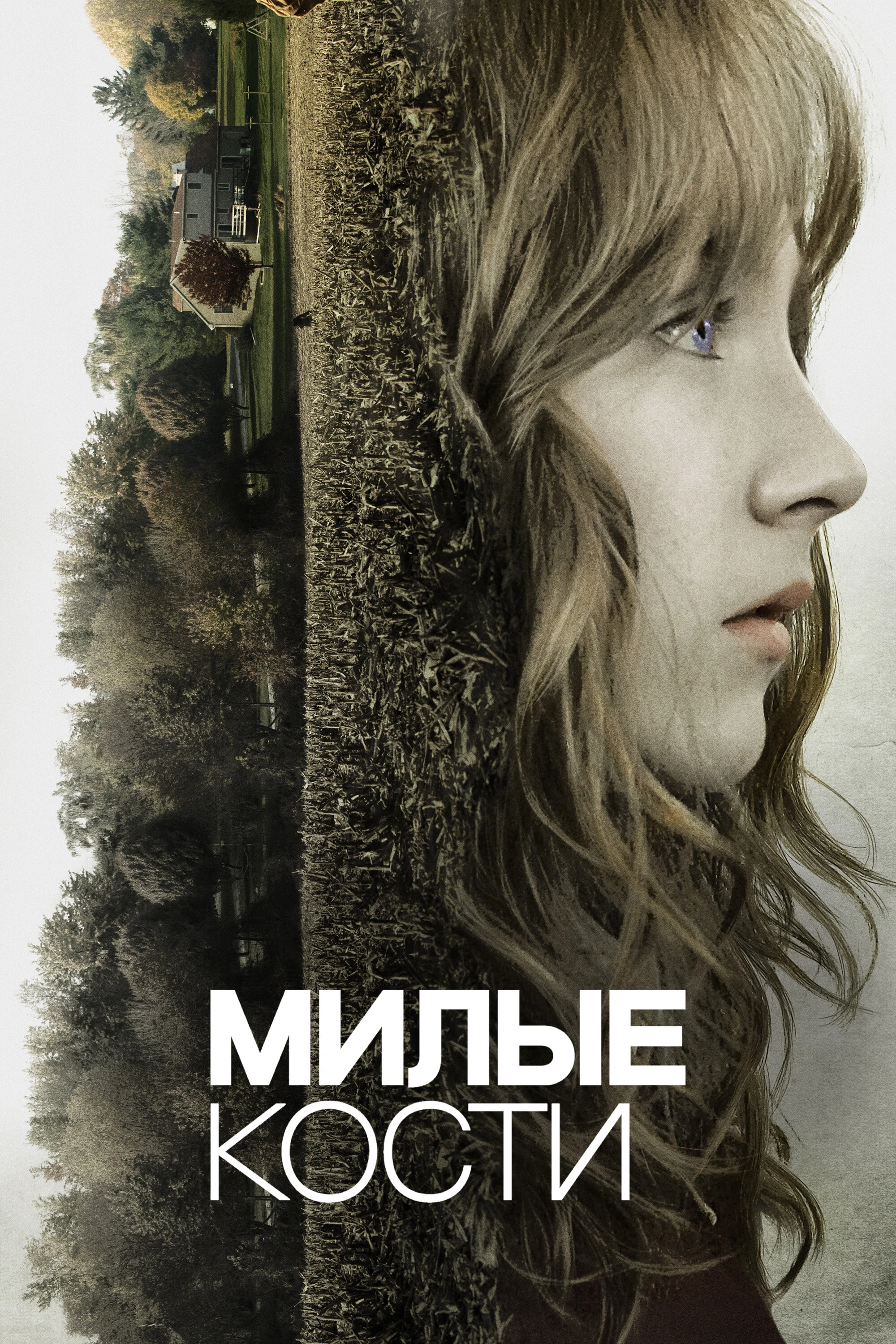 Милые кости постер