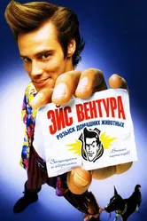 Постер Эйс Вентура: Розыск домашних животных 1993