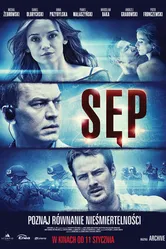 Постер Стервятник 2013