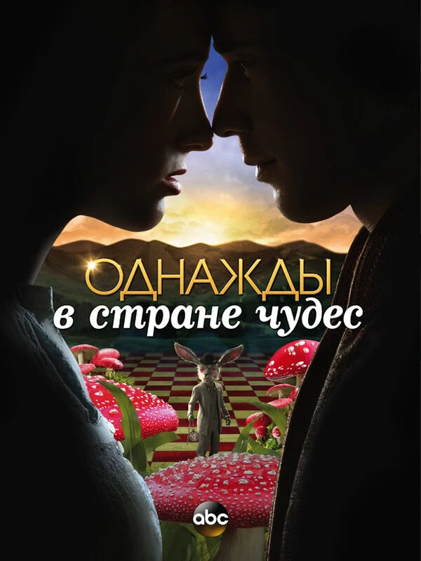Однажды в стране чудес 2013 постер