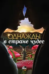 Постер Однажды в стране чудес 2013