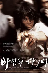 Постер Воин ветра 2004