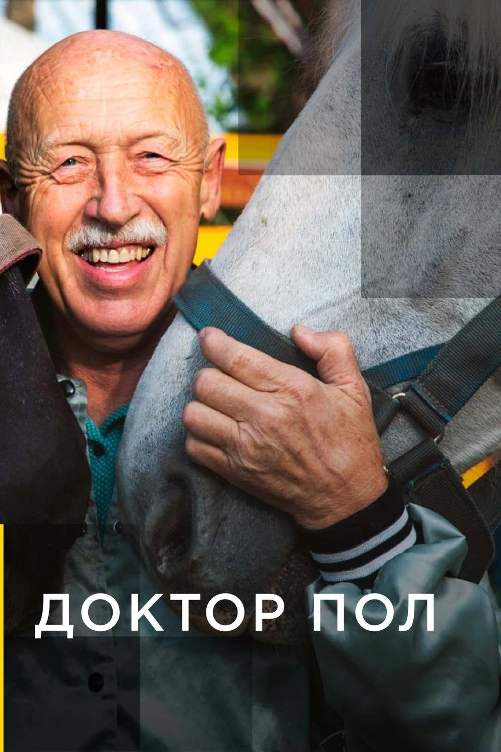 Доктор Пол 2011 постер
