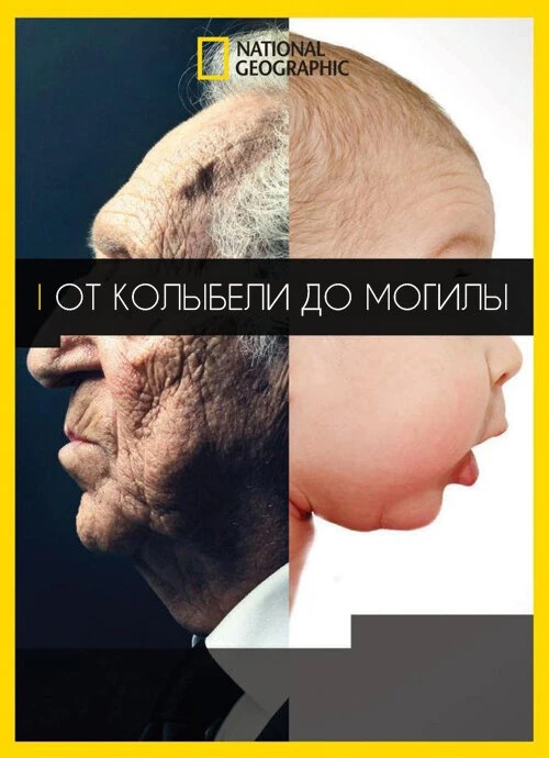 От колыбели до могилы 2016 постер