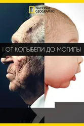 Постер От колыбели до могилы 2016