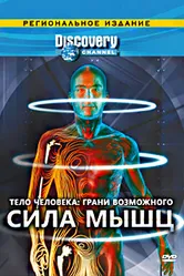 Постер Discovery: Тело человека. Грани возможного 2008
