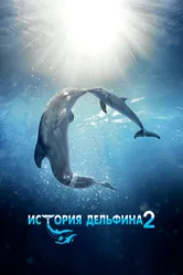 Постер История дельфина 2 2014
