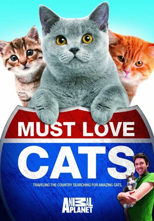 Кошек не любить нельзя 2011 постер