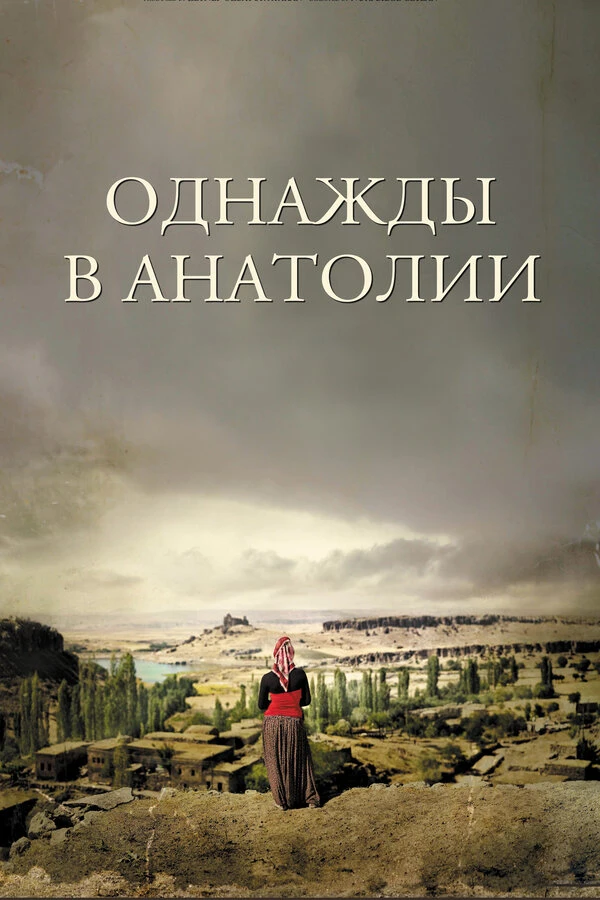 Однажды в Анатолии 2011 постер