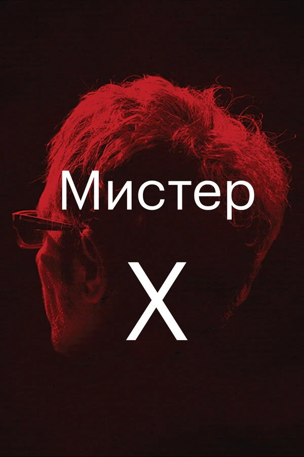 Мистер Икс 2014 постер