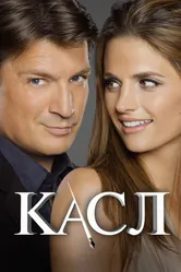 Постер Касл 2009