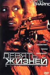 Постер Девять жизней 2004