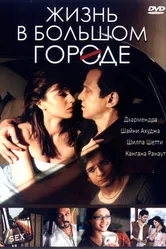 Постер Жизнь в большом городе 2007