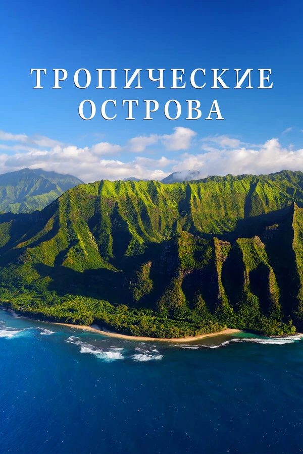 Тропические острова 2020 постер