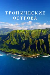 Постер Тропические острова 2020