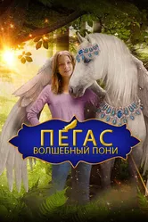 Постер Пегас: Волшебный пони