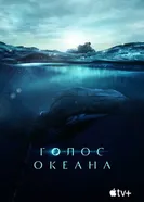 Постер Голос океана