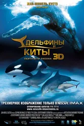 Постер Дельфины и киты 3D 2008