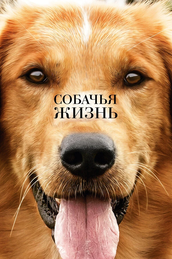 Собачья жизнь 2017 постер