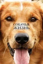 Постер Собачья жизнь 2017