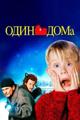 Постер Один дома