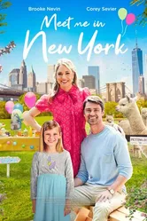 Постер Meet Me in New York