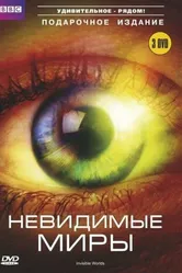 Постер BBC: Невидимые миры 2010