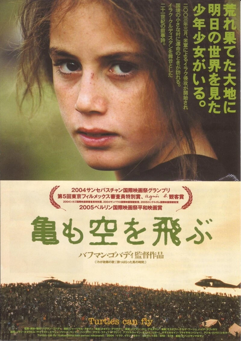 И черепахи умеют летать 2004 постер
