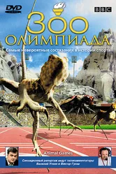 Постер BBC: Зоо олимпиада 2004