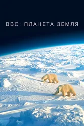 Постер BBC: Планета Земля 2006