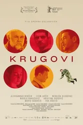 Постер Круги 2013