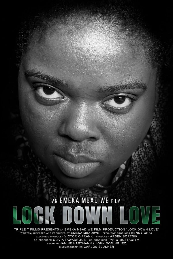Lock Down Love постер