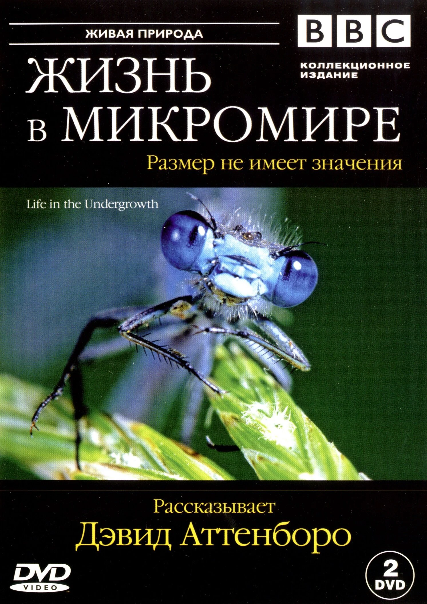 BBC: Жизнь в микромире 2005 постер