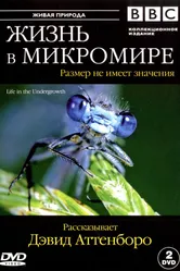 Постер BBC: Жизнь в микромире 2005