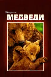 Постер Медведи 2014