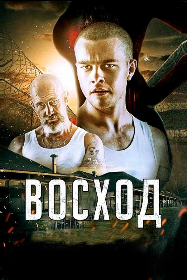 Восход 2014 постер