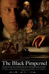 Постер Черная гвоздика 2007